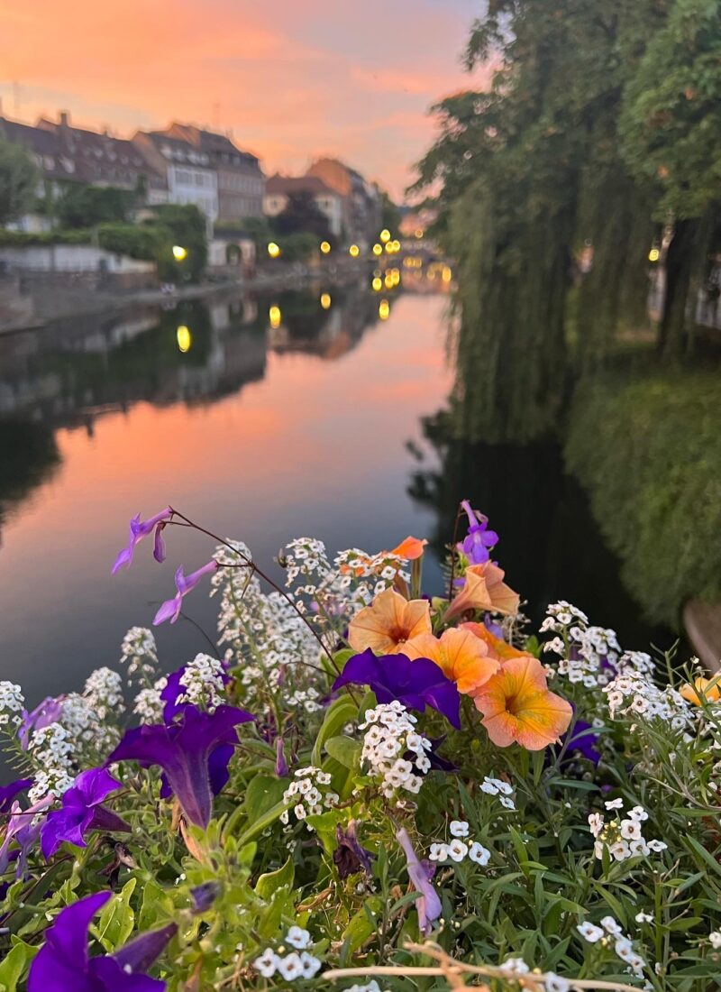 Strasbourg and unexpected wonder